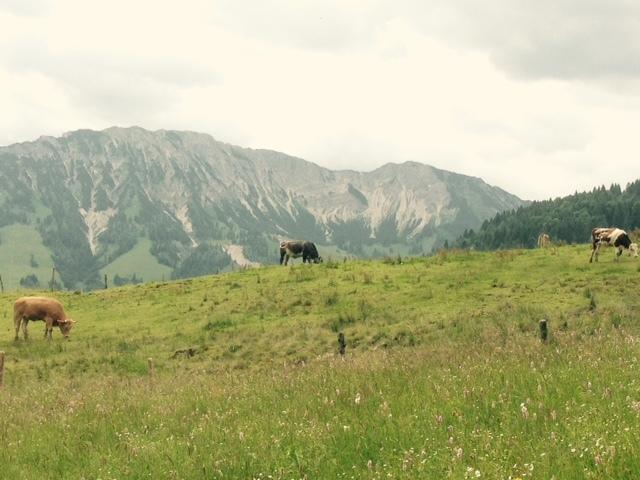 Ferienwohnung Himmel Oberstaufen Zimmer foto